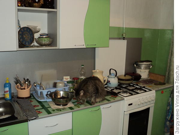 Шторы зеленые, стены зеленые, мебель тоже... зеленая. Фотка - старая)))