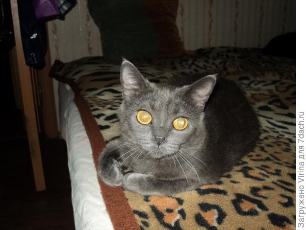 Весна - это хорошо!