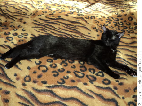 А Маргоша - рядышком...