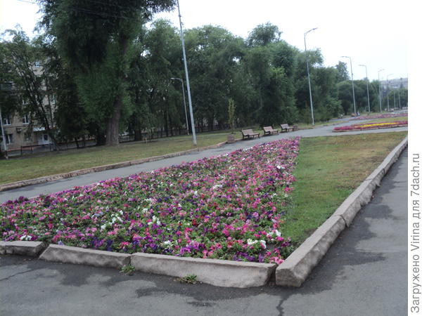 Качели и скамейки