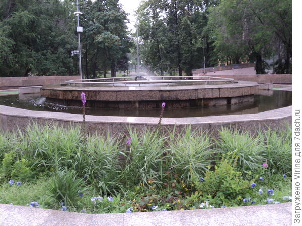 Клумба