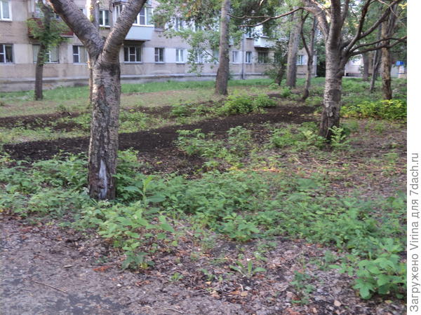 Спецы нарыли, бабуля выровняла