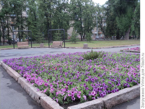 Качели и скамейки