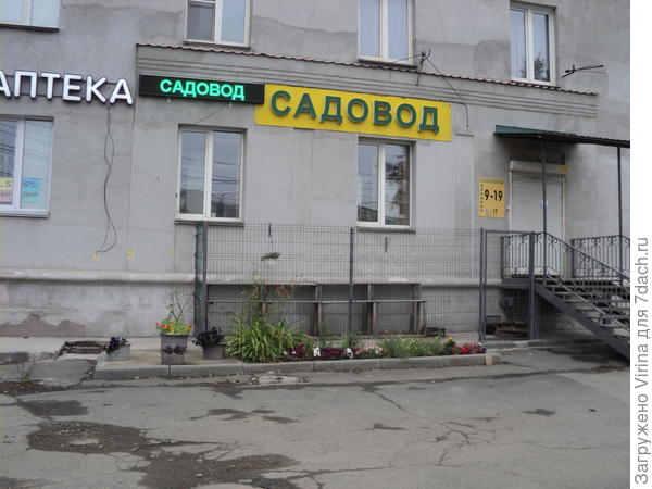 Бледненько как-то...