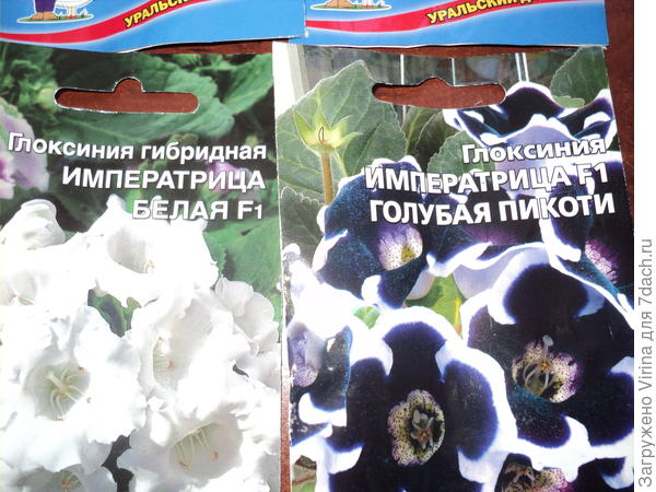 садим