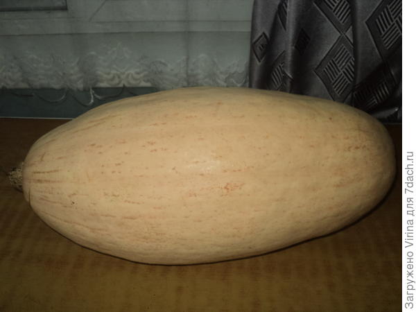 тыковка