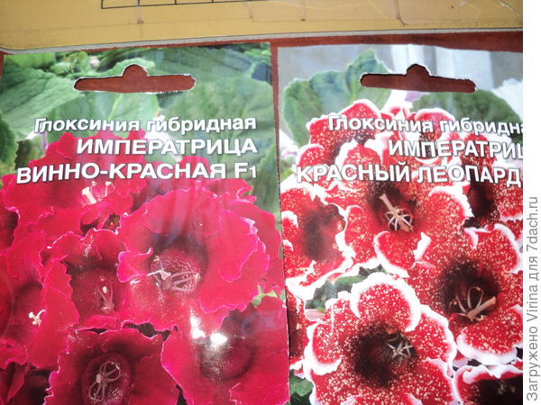 садим