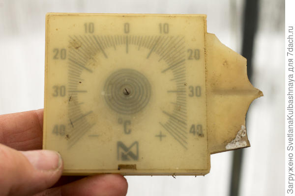 термометр