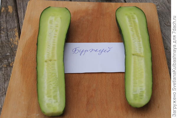 фото от 26.08.2017