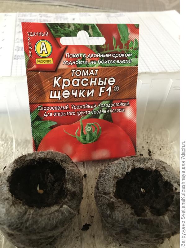 07.03.2019 посев