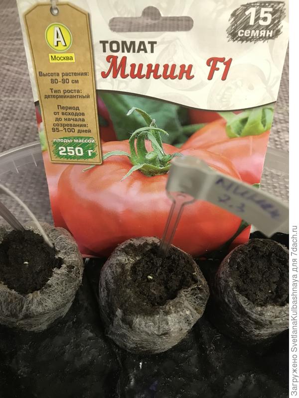 всходы 09.03.2019