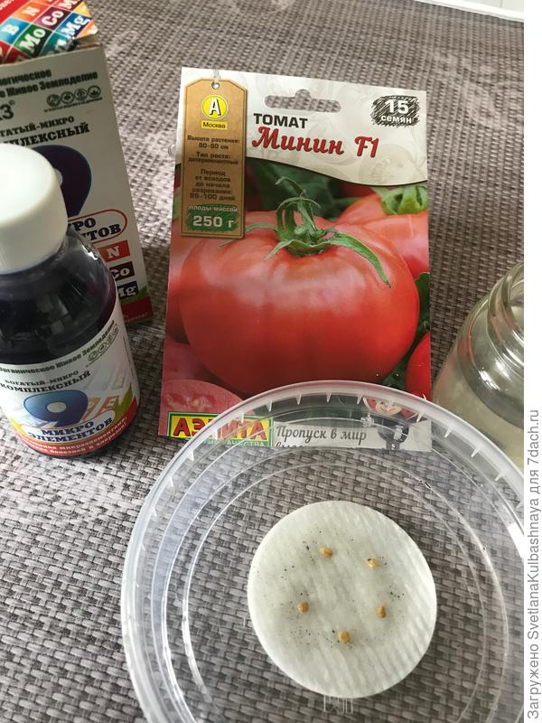 проращивание