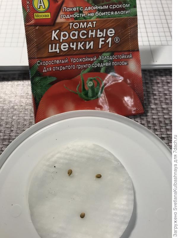 07.03.2019 вечер