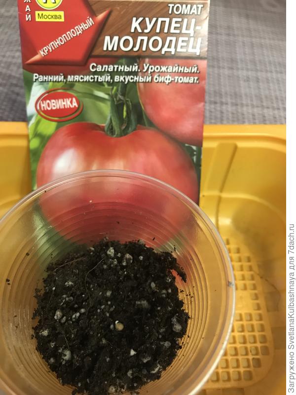 посев