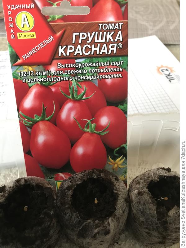 посев