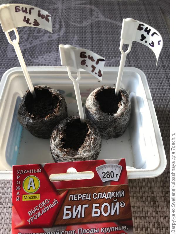 посев