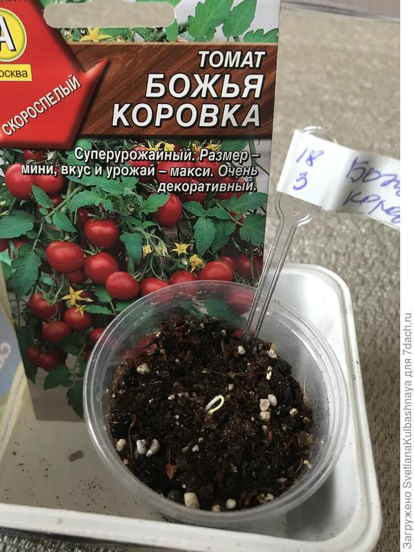 20.03.2019, утро