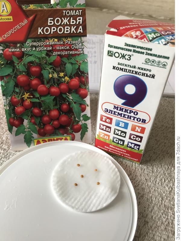 проращивание