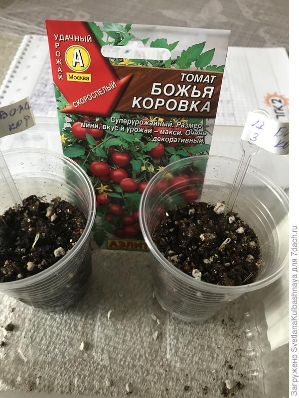 19.03.2019, вечер