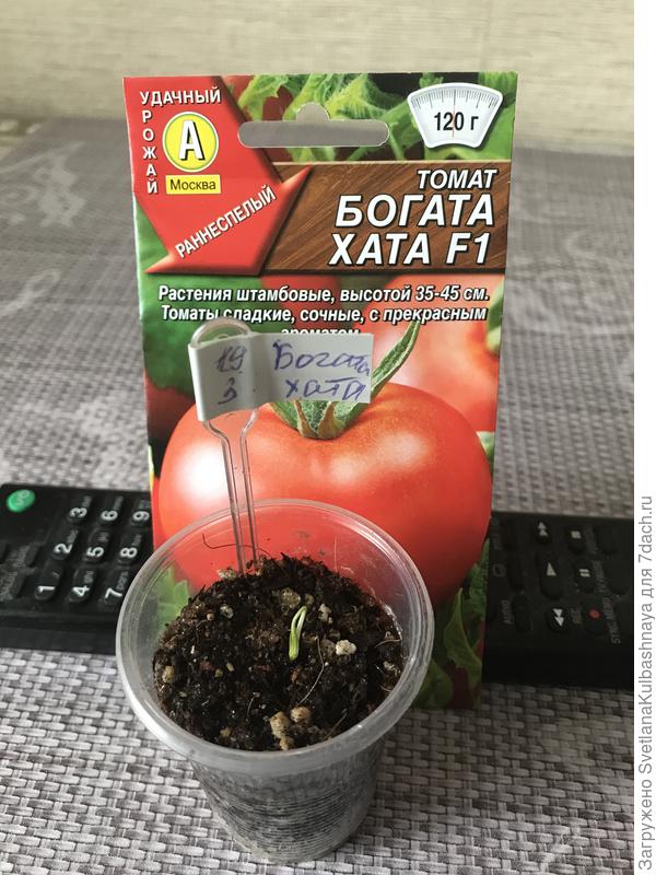 22.03.2019 всходы