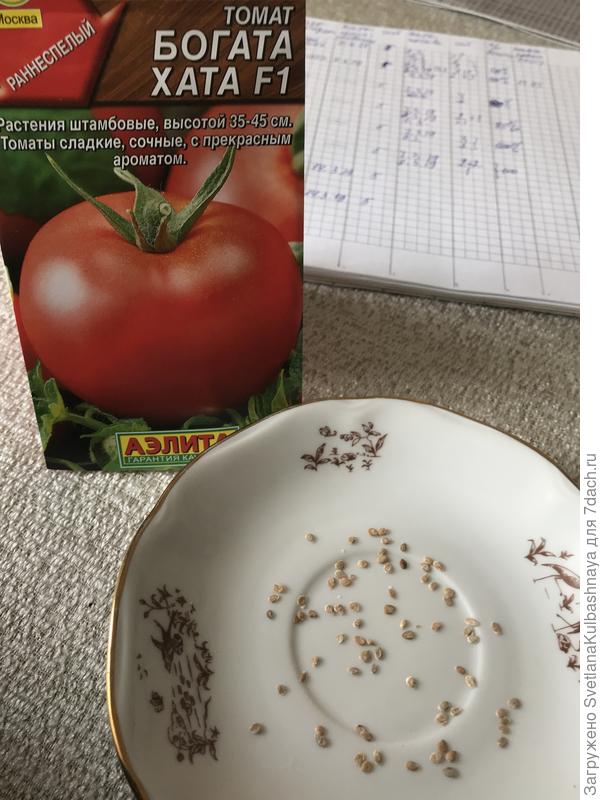 томат