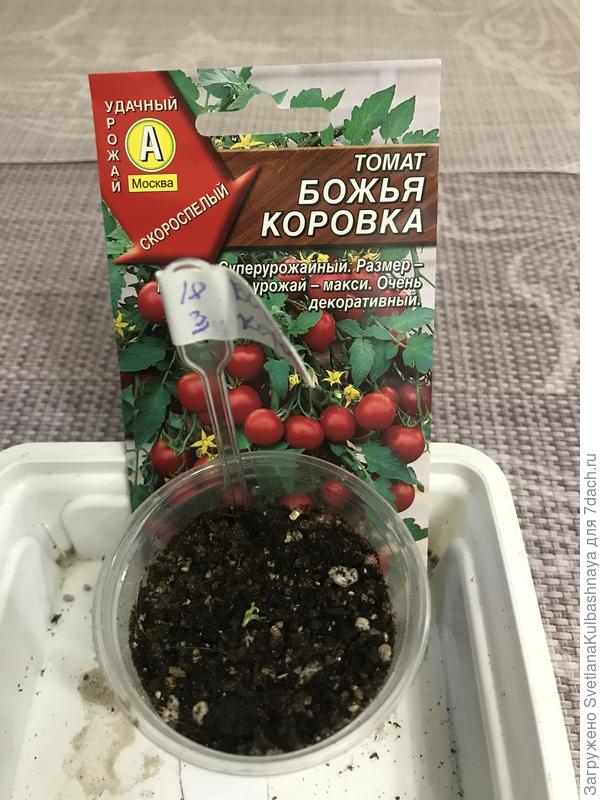 20.03.2019, вечер