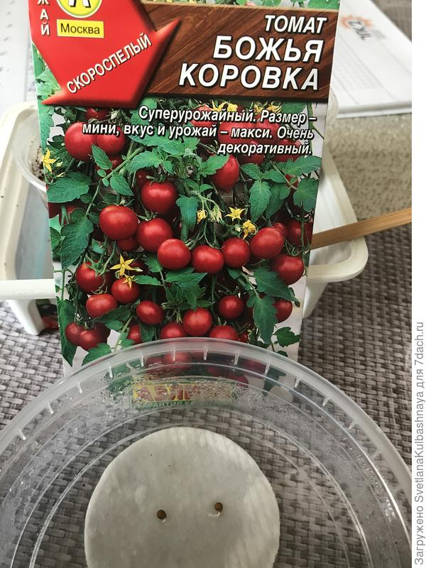 18.03.2019