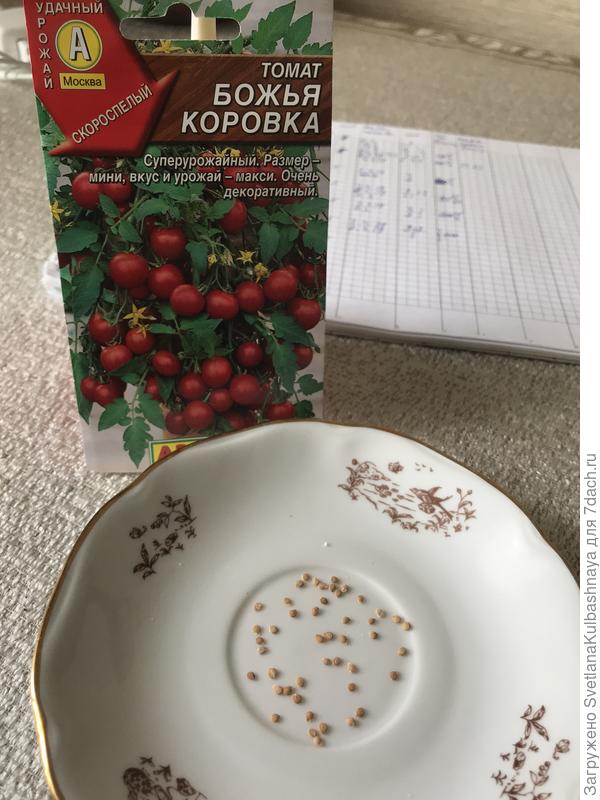 15.03.2019