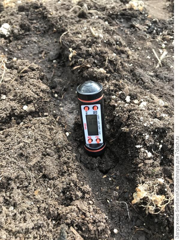 Т грунта в теплице