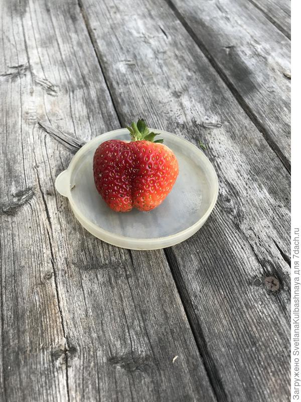 Это самое вкусное на сегодняшний день