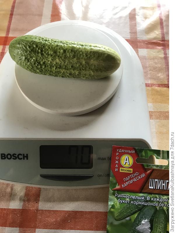 14.08.2019