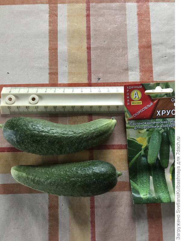 08.08.2019