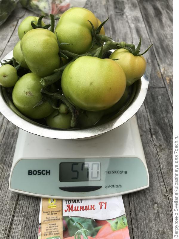 03.08.2019 вес