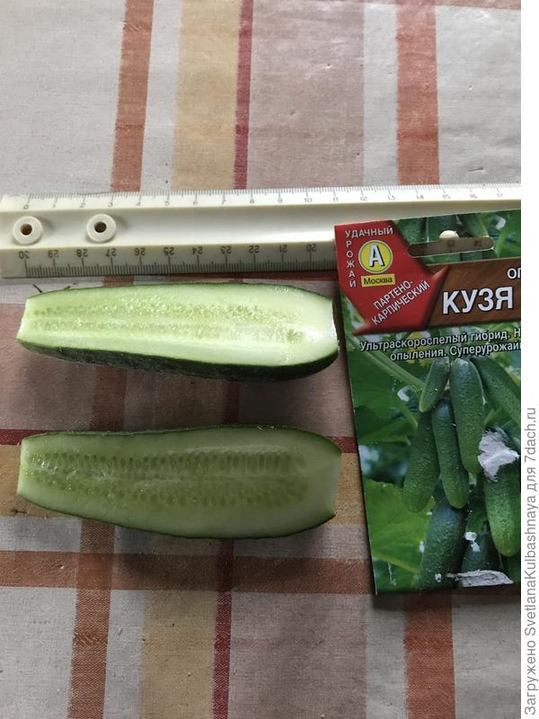 в разрезе