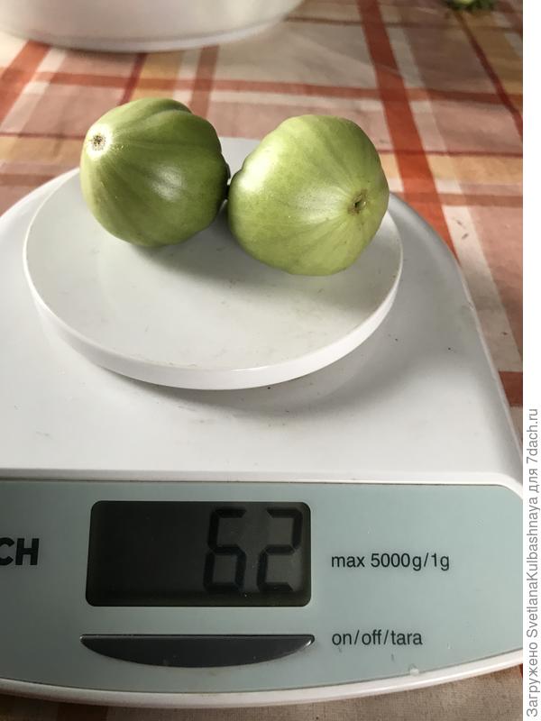 03.08.2019, вес, ЗГ