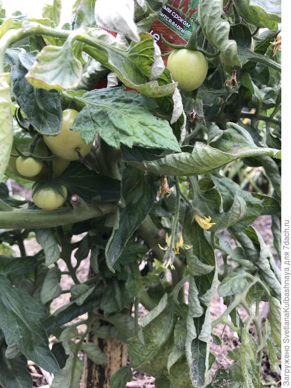 03.08.2019
