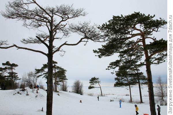 Тоже из архива