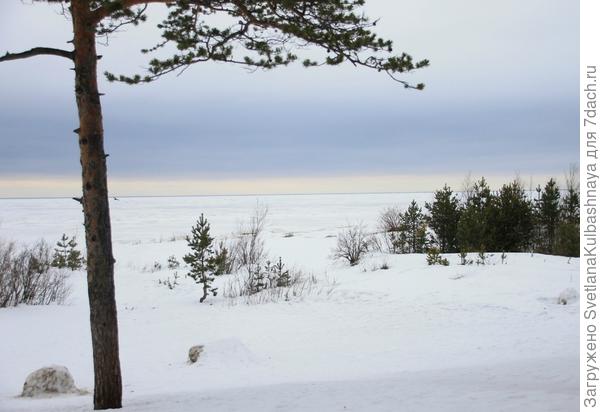 Фото из архива