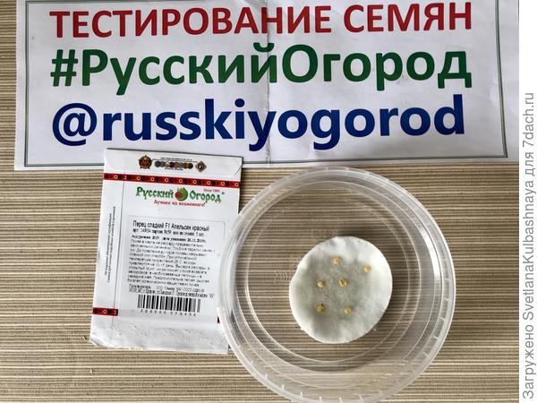Семена на проращивании
