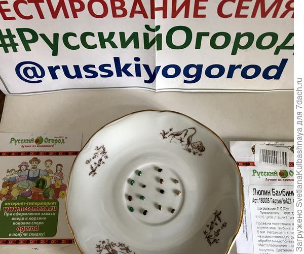 Семена