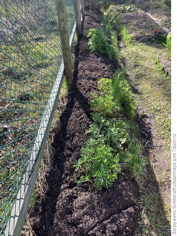Место вдоль забора с южной стороны участка