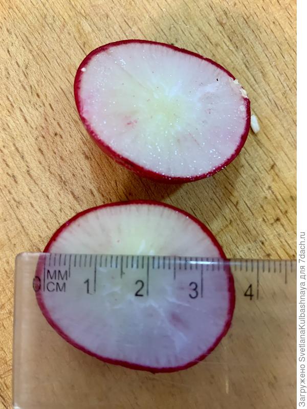 Нормальный вкусный редис