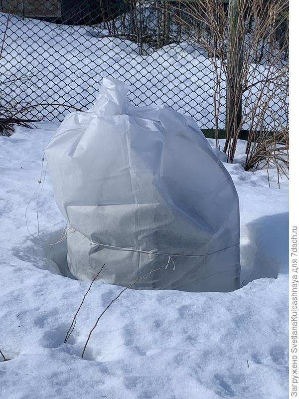 Снег, конечно , хорошо тает, потому что совсем недавно только кончик торчал