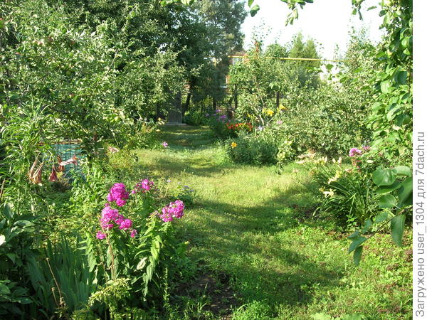 дорожка