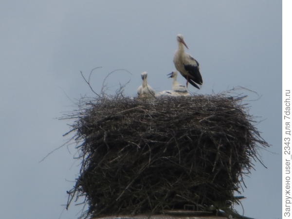 высоко сидим, далеко глядим