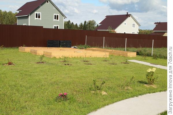 Рядком гортензии