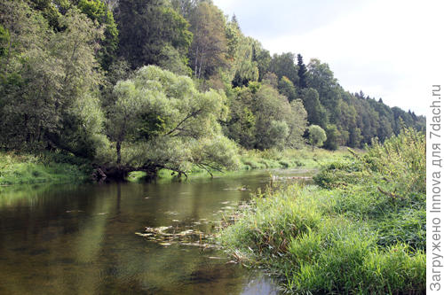 Река Нара