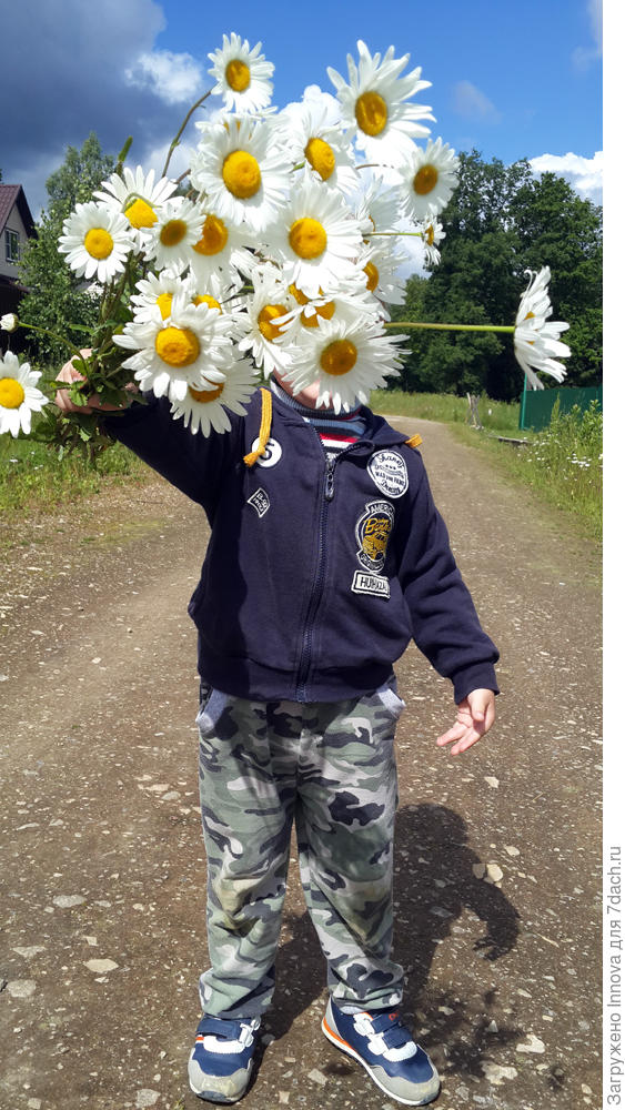 Отобрал у мамы букет и подарил его опять:)