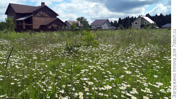 Наш поселок