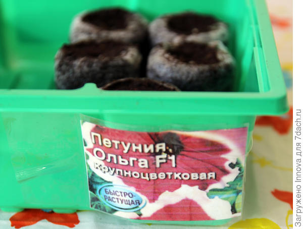 Этикетка заламинирована в скотч